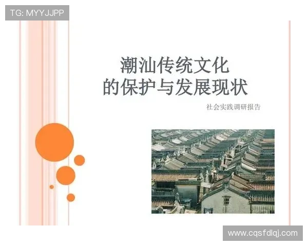 广州羽毛球队的阵地战策略与发展现状深度解析